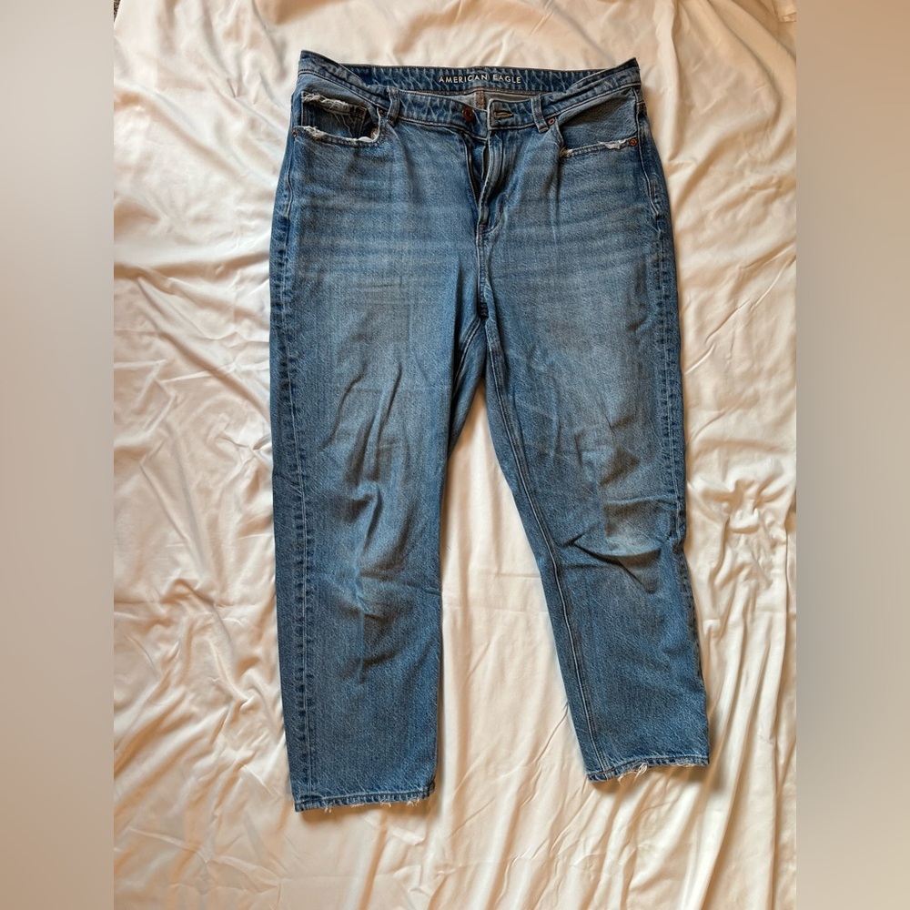 American Eagle Outfitters Distressed Blue Ankle Jeans